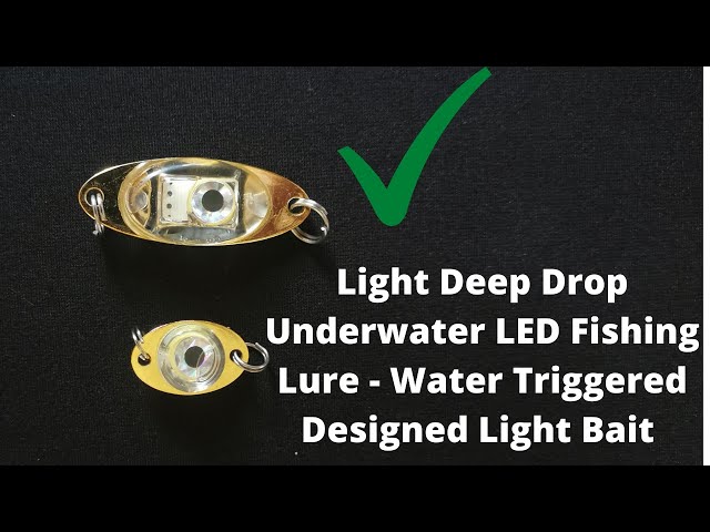 Fishing Lure LED, Fish-Shape Treble Hook Fishing Lure LED Light Underwater  Deep Drop Flashing Lamp