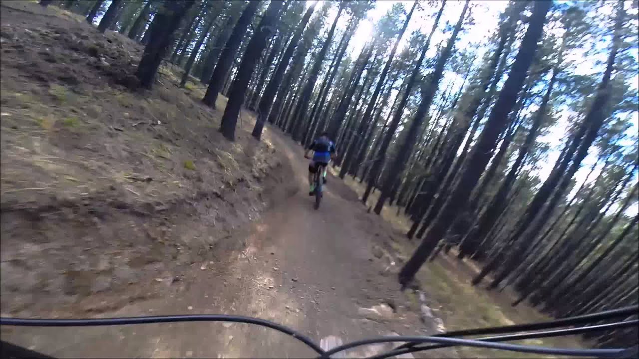 Snakes and Ladders Trail in West Bragg Creek YouTube