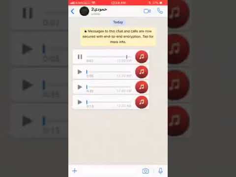 هههه منور الكبور أاا الكروب هههه