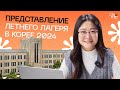 ☀️ Летний языковой лагерь в Южной Корее 2024 - Бесплатный вебинар
