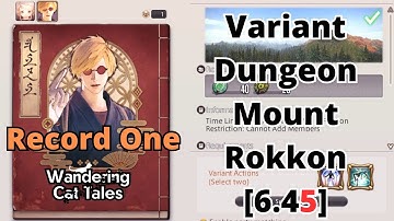 FFXIV: Mount Rokkon Record One Guide