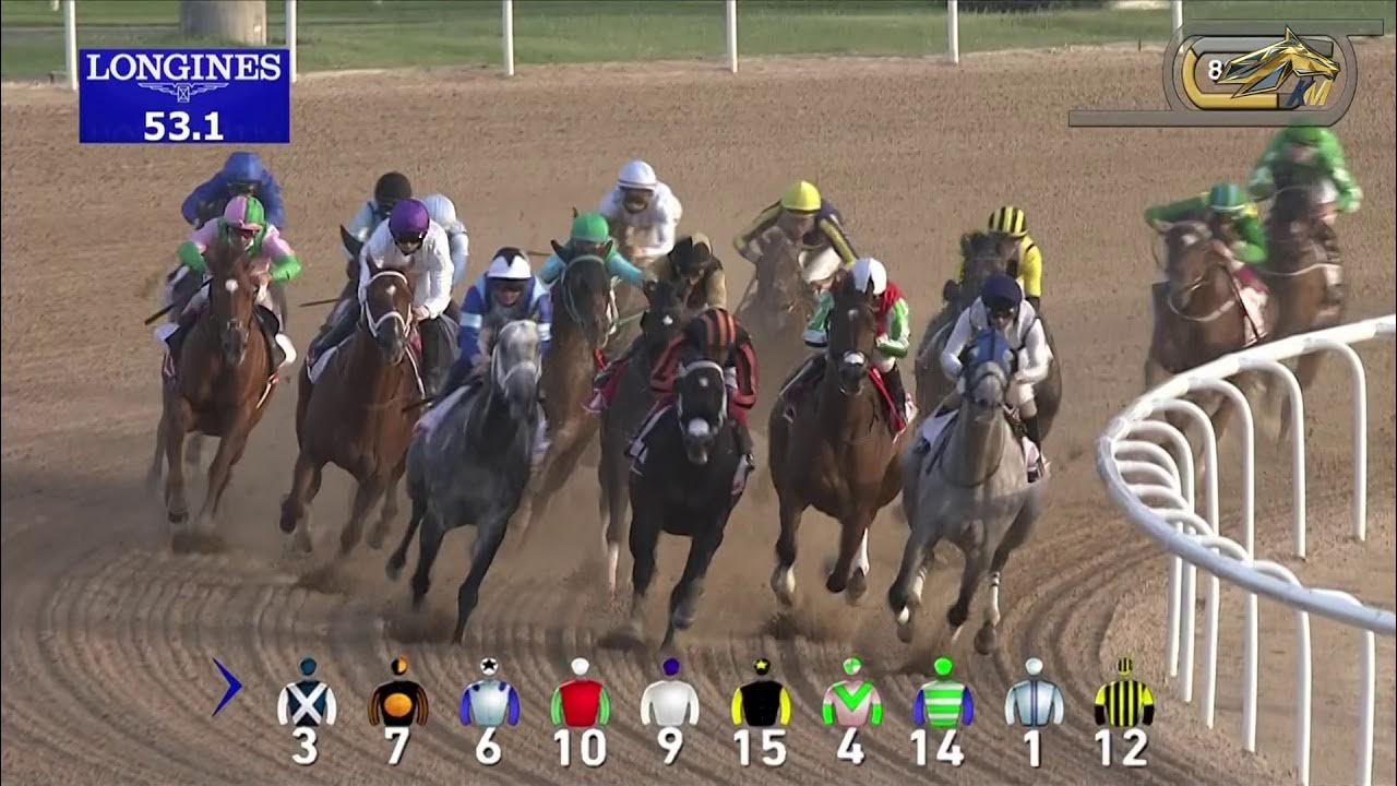 Ипподром в дубае. Скачки дубай 2024 год. Скачки дубай 2024 год. "dubai world cup carnival". Ипподром мейдан дубай.