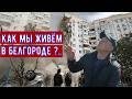 Белгород. Жизнь под обстрелами.