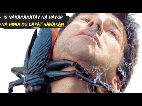 10 Pinaka Nakamamatay na Hayop na Hindi mo Dapat Hawakan