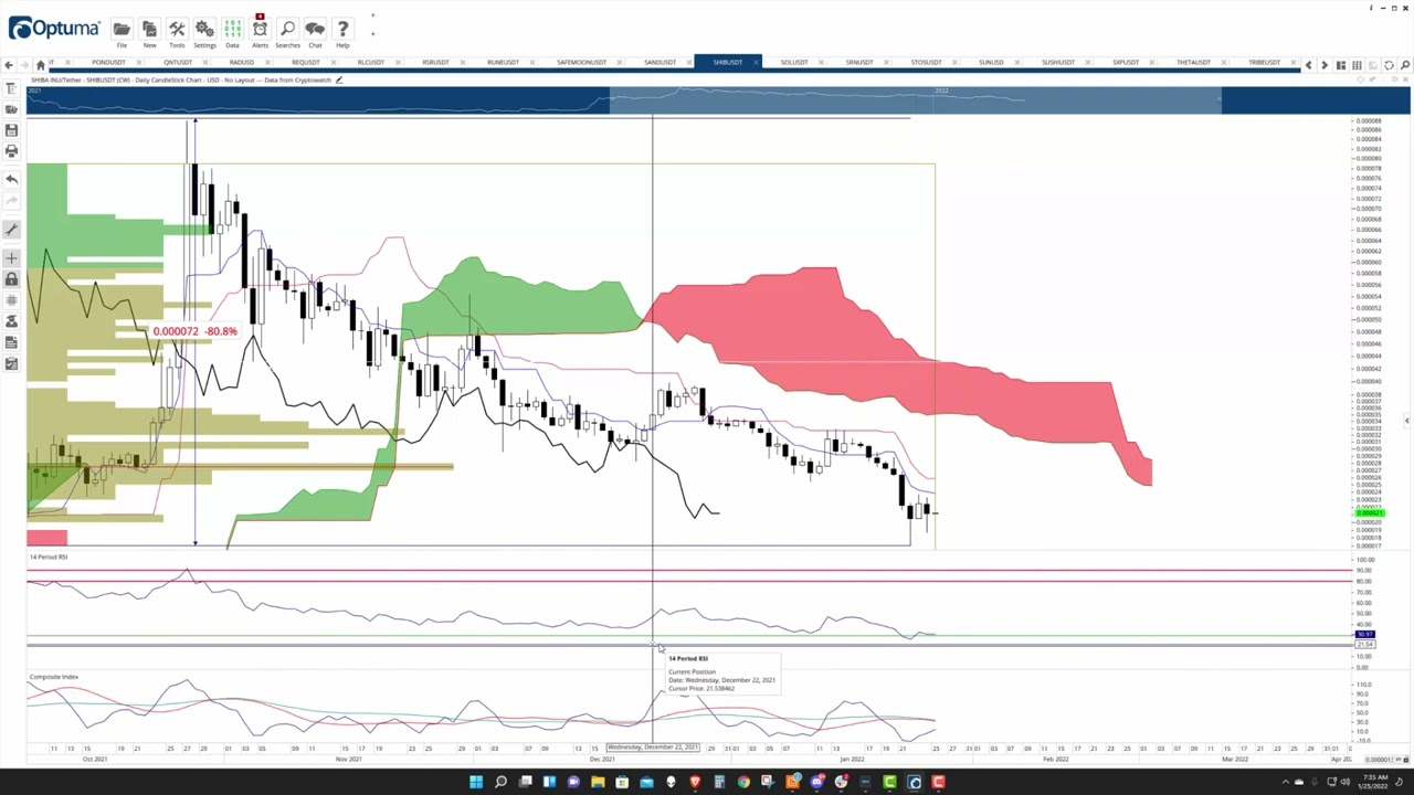 Shiba Inu hits point of max pain, targets $0.000035 - YouTube