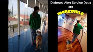 LIVE ALERT * Diabetes Alert Service Dog * is turning 9! What's NEXT? #diabetes #type1diabetic #dog