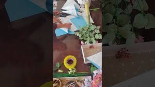 ​How to make a beautiful flower #flowerarrangement #diyflowers #florist #floralart #flowerart
