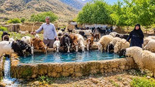 Building a water pond for animals|Hard work of nomads Survival skills in the Zagros Mountains😱🏞🐐
