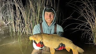 BOWFISHING INVASIVE CARP! (NIGHT FISHING FOR BOTTOM FEEDERS)