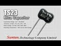 Suntan TS23 Silver Mica Capacitors