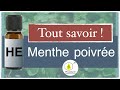 Menthe poivre  les secrets de son huile essentielle