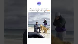 A man proposes to a woman and someone got very happy 😃