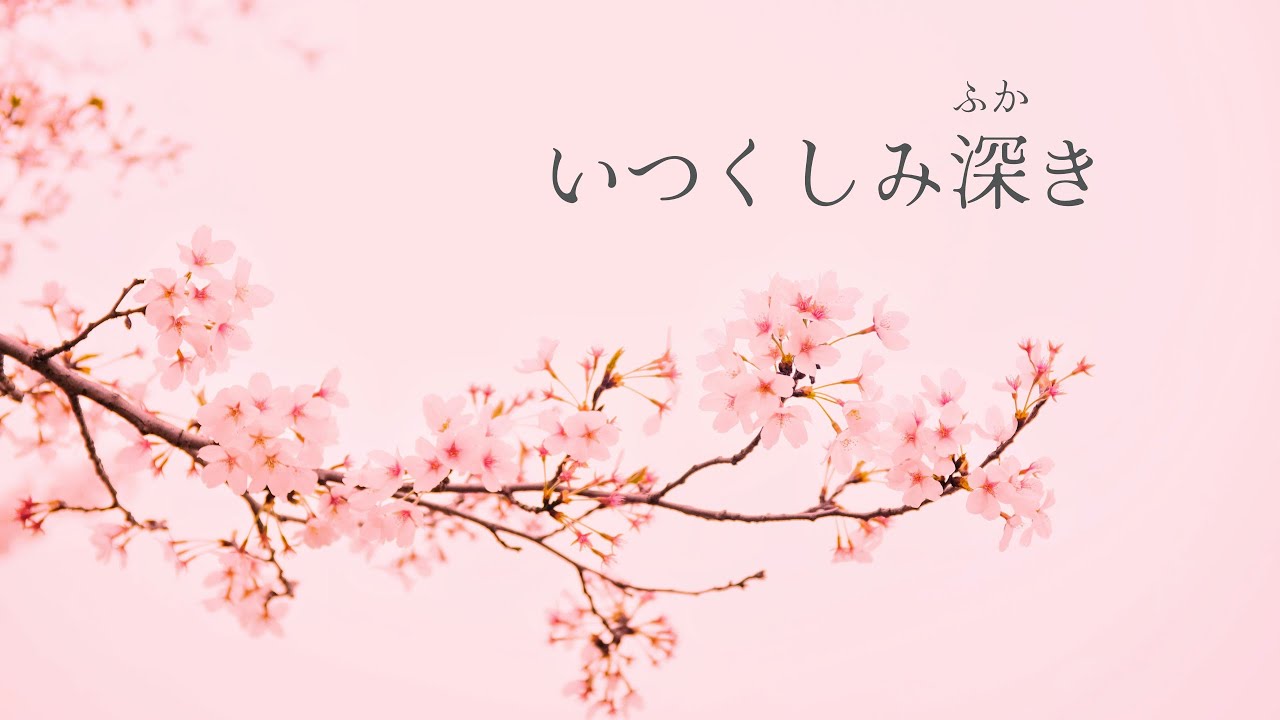 賛美】いつくしみ深き（歌あり） ピアノと歌と歌詞 日本語のみ What a