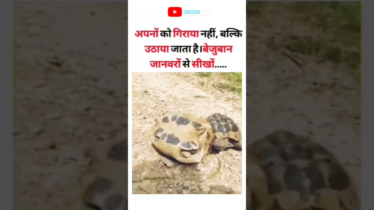 Respect All the Relations👍 