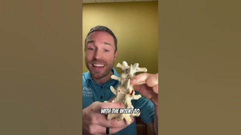The MYTH About Chiropractor Manipulation