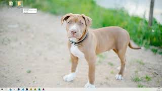 nodejs和autox.js环境配置#nodejs#autojs