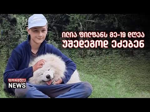 ილია ფილფანს მე-19 დღეა ეძებენ