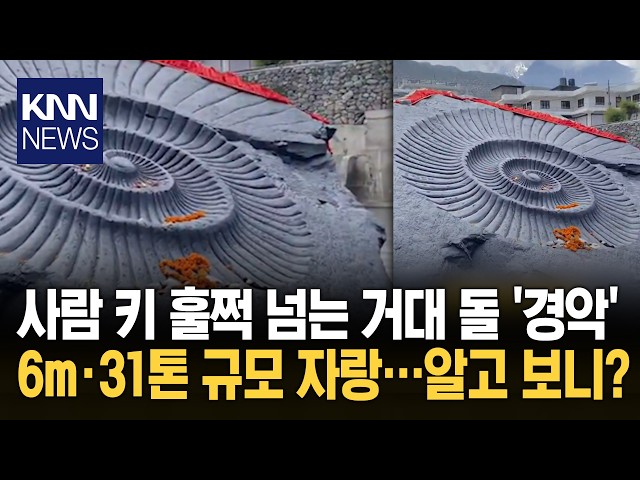 "수천만 년 된 화석이라고?" 네팔에 있는 31톤 조각의 비밀 / KNN
