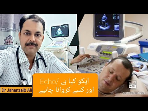 Echo/ Echocardiography urdu ایکو کیا ہے اور کسے کروانا چاہیے