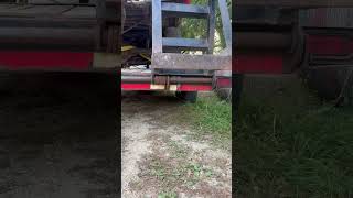 Mouse Fall From Its Mom as Cat Approaches