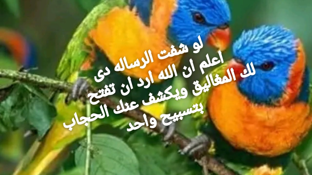 من رأها فهى له ارد ربك ان ترها لتنال السعاده والمال والعز