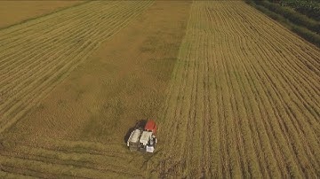 Cà Mau thiếu vốn hoàn thiện mô hình Hợp tác xã kiểu mới