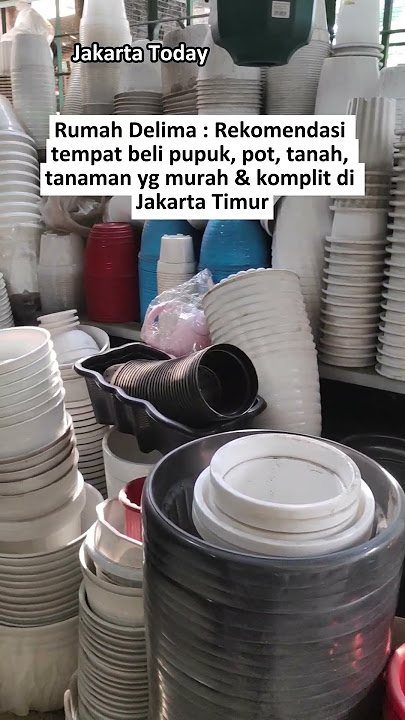 Rekomendasi tempat beli pupuk, pot, tanah, tanaman yang murah & komplit di Jakarta Timu
