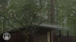 Sound of Rain with a Thunderstorm in the Garden. Rain Falls on the Tin Roof of a Small Barn.