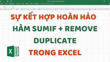 Sự kết hợp hoàn hảo giữa hàm Sumif với Remove Duplicate | Excel Thầy Cảnh