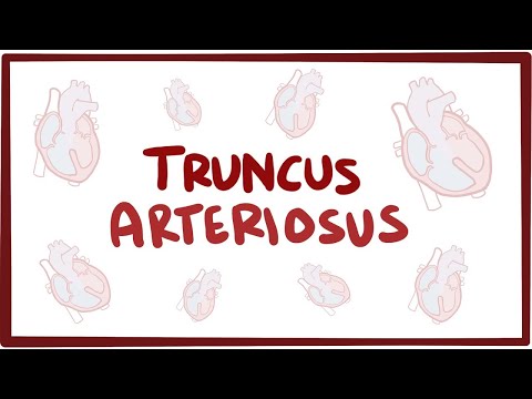 تصویری: Trancus arteriosus چقدر نادر است؟