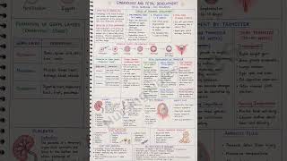 Embryology & Fetal Development in Nursing | Complete Notes | B.Sc. Nursing | INC Syllabus