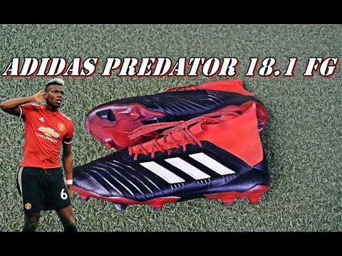 Show Predator Mania - YouTube