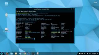 Using SSH to Access the Command Line of a Remote Host (12/14) видео Хостинг с SSH - почему это полезно?