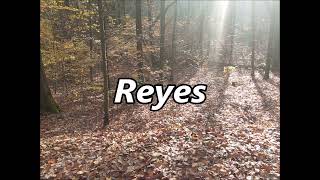 REYES as Family Name   Meaning and Origin