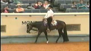 One Hot Krymsun - Super Sire!