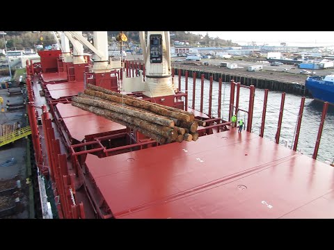 Loading timber onto a cargo ship