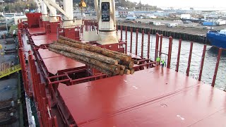 Loading timber onto a cargo ship