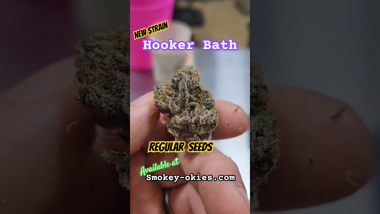 Hooker Bath strain is now available in Regular Seeds