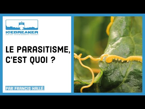 Vidéo: Différence Entre Parasite Et Parasitoïde