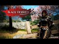 Black Desert Online - Daily &amp; Season pass Stuff
