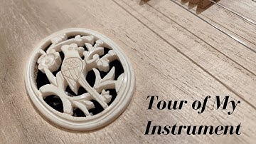 Tour of My Instrument: Liu Qin - Get to Know My Instrument! | Elaine Fang