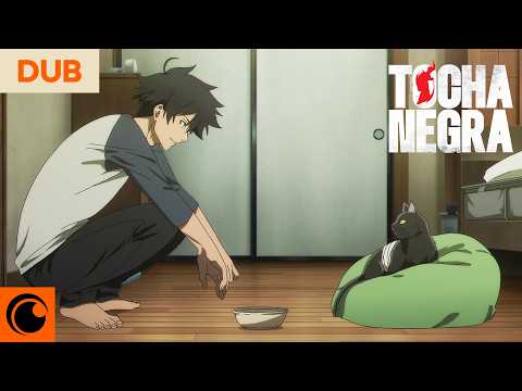 Rago, o gato mononoke 🐈‍⬛ | TOCHA NEGRA