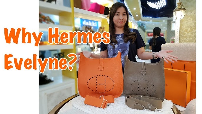 Hermès Evelyne 16 (TPM) VS Hermès Evelyne 29 (PM)