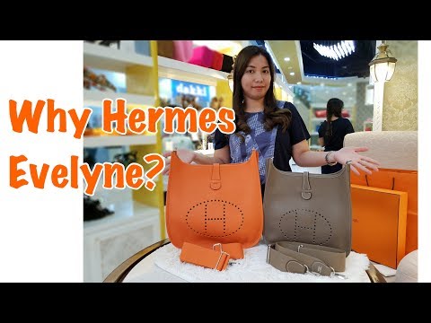 Hermes Evelyne Comparison and Unboxing GM Vs PM 