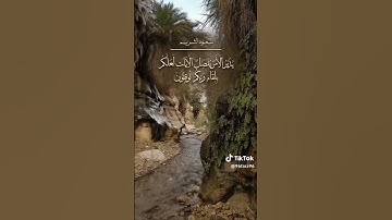 القرأن الكريم سورة الرعد