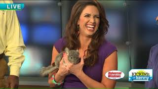 Jungle Terry`s Spring Visit Wealth