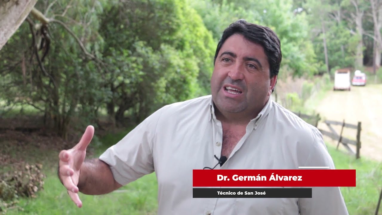 Intoxicación por nitratos y nitritos por el Dr. Germán Álvarez