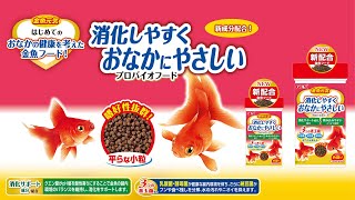 【2021年新商品】金魚関連新商品を開発担当者が解説！