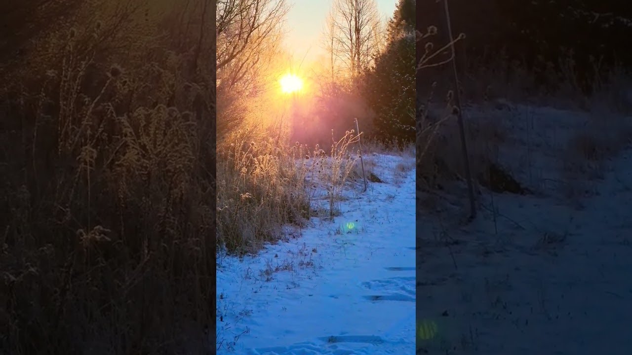 Beautiful sunrises make the best days.  