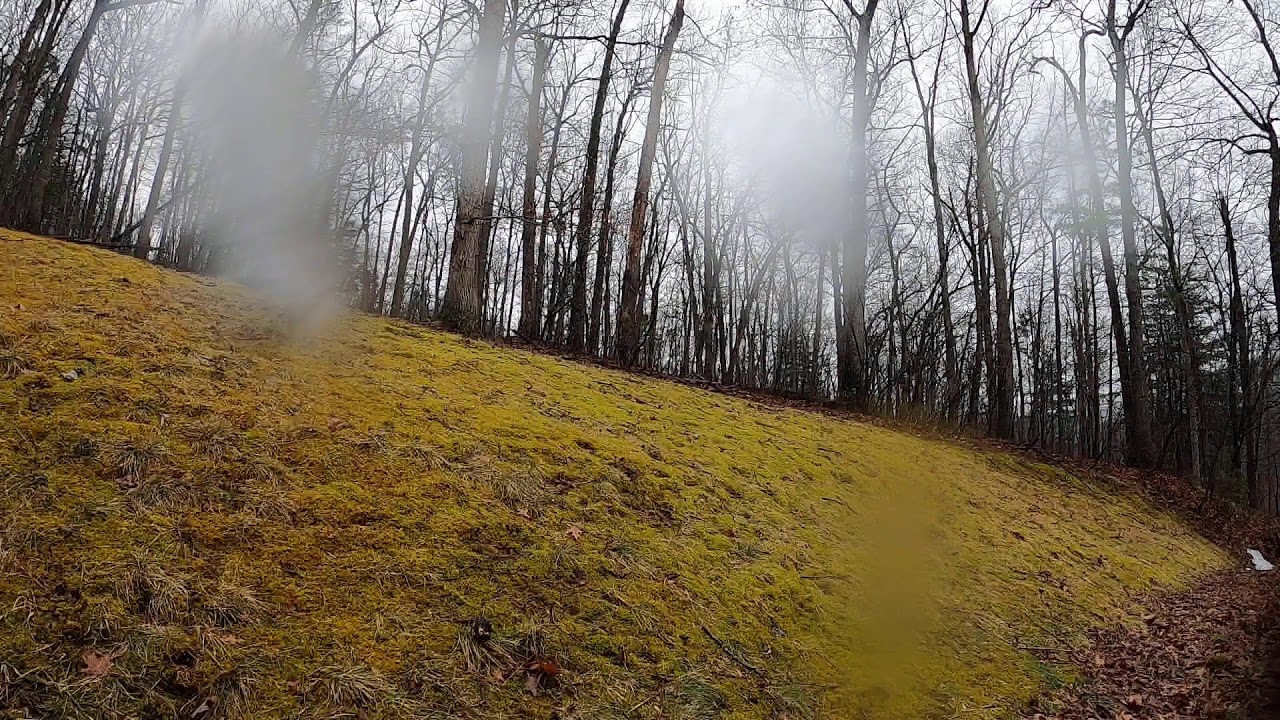 Live Winter Storm Watch